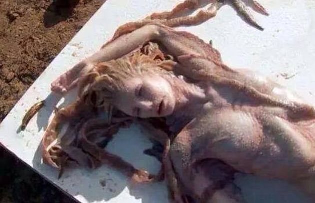 they discovered a mermaid in the ocean A new creature discovered in the ocean